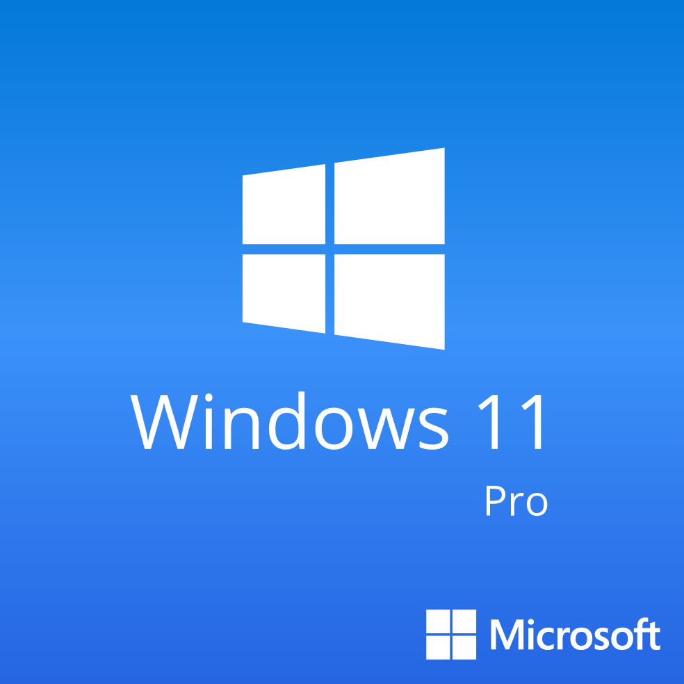 Microsoft Windows 11 Professional